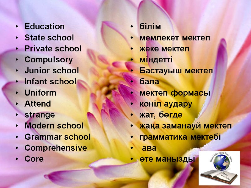 Education  State school Private school Compulsory Junior school Infant school   Uniform